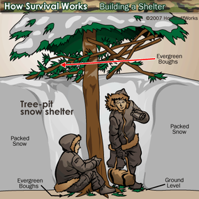 tree-pit snow shelter