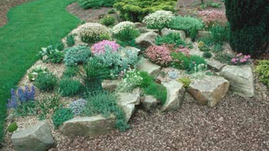 How to Build a Rock Garden