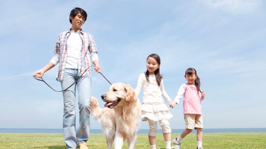 How to Choose the Best Dog Breed for Your Family