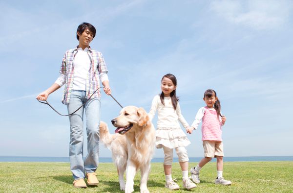 A father and his two daughters walk their dog.