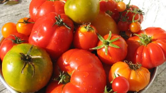 How to Choose the Perfect Tomato