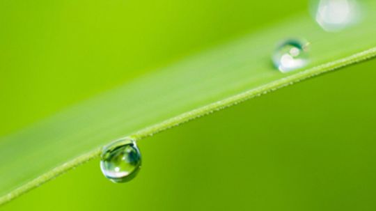 18新利最新登入雨滴摄影怎么办”width=