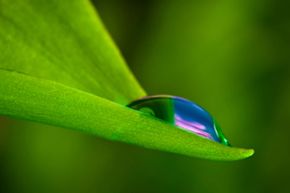 Raindrops have the ability to reflect and refract images of the objects around them. Because of this, we can create the illusion of colored raindrops fairly easily.