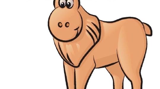 How to Draw a Moose in 5 Steps