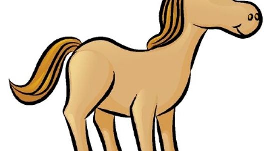 How to Draw a Horse in 5 Steps