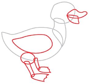 How To Draw A Duck In 4 Steps Howstuffworks