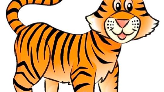 How to Draw a Tiger in 6 Steps