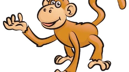How to Draw a Monkey in 5 Steps
