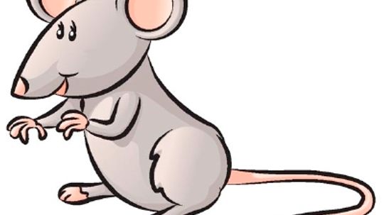 How to Draw a Mouse in 4 Steps