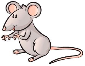 Mammal Image Gallery Learn how to draw a mouse in just four simple steps. Use this article's clear directions and illustrations to guide you through each step. See more pictures of mammals.