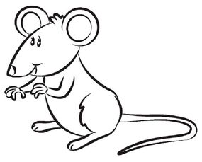 How to Draw a Mouse | HowStuffWorks
