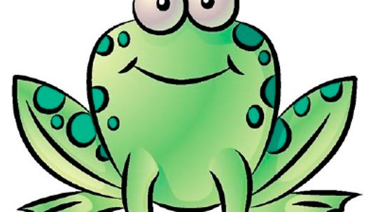 How to Draw a Frog in 4 Steps