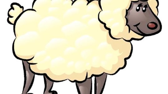 How to Draw a Sheep in 4 Steps