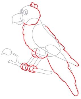 How to Draw a Parrot | HowStuffWorks