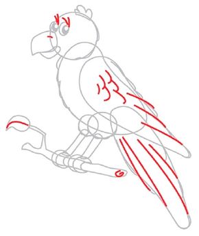 How To Draw A Parrot Howstuffworks