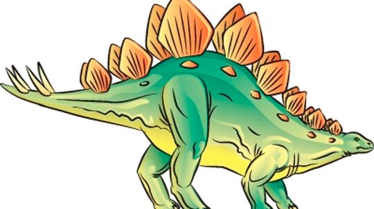 How to Draw Stegosaurus in 7 Steps