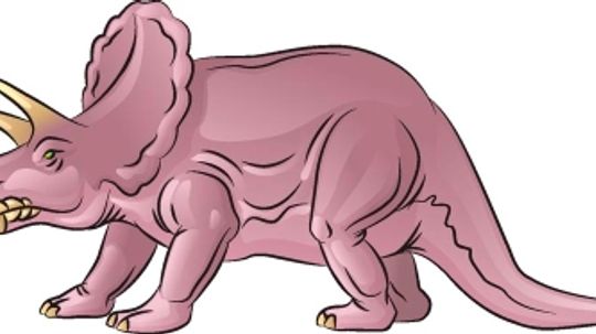 How to Draw Triceratops in 6 Steps