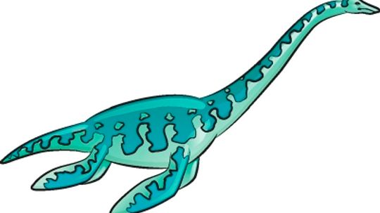 How to Draw Elasmosaurus in 5 Steps