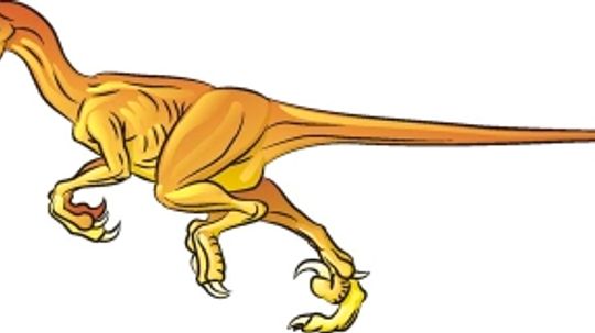 How to Draw Velociraptor in 6 Steps