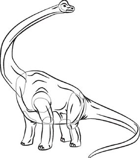 simple drawings dinosaur sketches