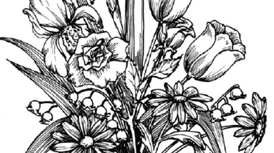 How to Draw a Flower Arrangement in 7 Steps