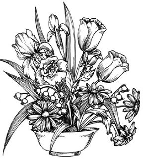 Flower Image Gallery Learn to draw a flower arrangement and other flowers and plants with our easy steps. See more pictures of flowers.