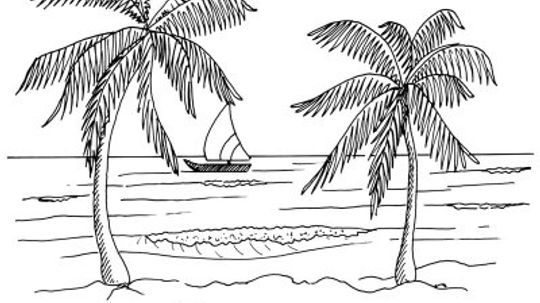 How to Draw a Tropical Beach Scene in 5 Steps