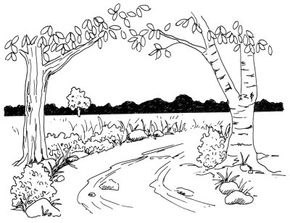 Forest Scenery Drawing Step By Step