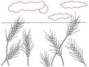 How to Draw Wheat Fields in 4 Steps | HowStuffWorks