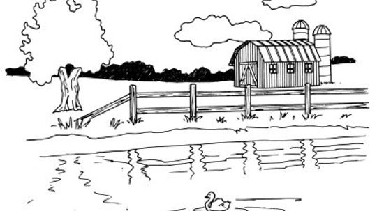 How to Draw a Barn and Pond in 5 Steps