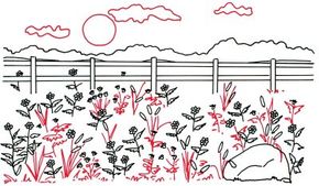 field of flowers drawing