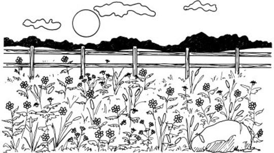 How to Draw a Field of Flowers in 5 Steps