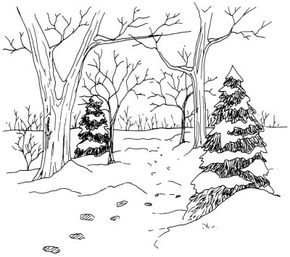 Learn how to draw this woodland trail landscape.