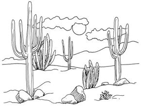 desert landscape drawings