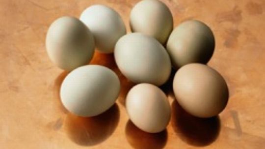 What are symptoms of egg allergies in children?