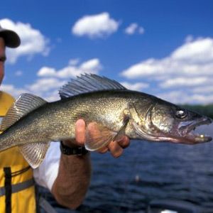 Fishing outdoors, catch of fish in water.