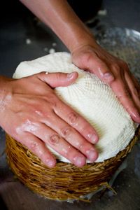 A cheese maker presses the salted curds in a basket to remove any excess whey.