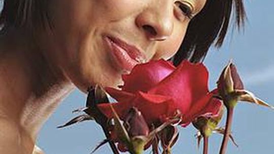 How to Make Perfume Out of Flowers from Your Garden