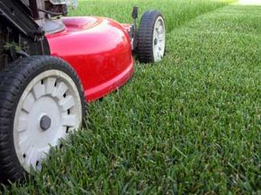 A red push lawnmower cuts the grass.&nbsp;