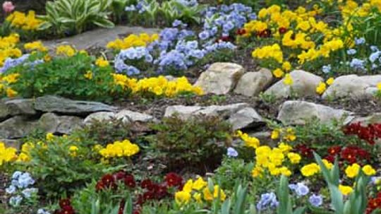 How to Plan a Rock Garden