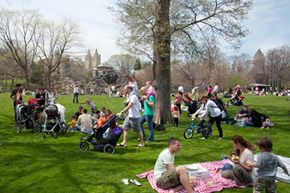 Is the local park a perfect place for a family reunion?