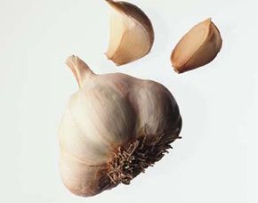 Garlic is versatile and delicious. See more culinary herb pictures.