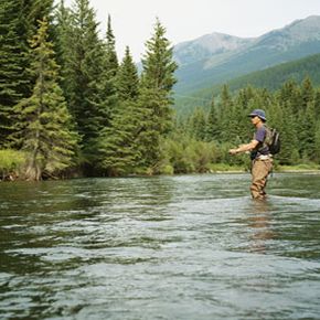 Exploring nature's adventure outdoors.