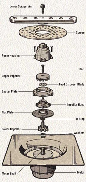 A Beginners Guide to Cleaning and Maintaining a Dishwashers Motor Assembly