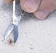 Use a pair of small, sharp scissors to cut off burnt carpet fibers.