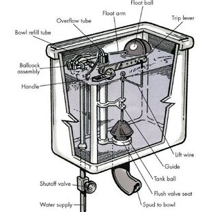 How to Raise the Water Level in a Toilet Bowl