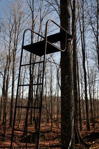 ladder tree stand