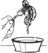 A line drawing of a small container and a hand holding a fork with an item on it.&nbsp;