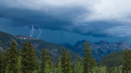 How to Survive a Storm in the Middle of the Woods