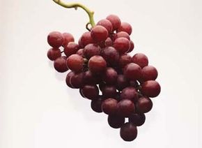 Many different types of ingredients can go into vinegar, including grapes.
